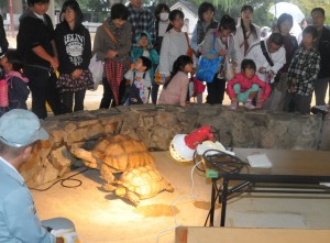 はかる　カメ　写真